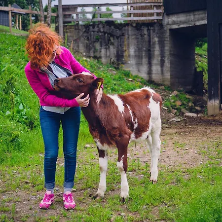 Unikt Gårdshus - Gamlestua Vestre Gausdal