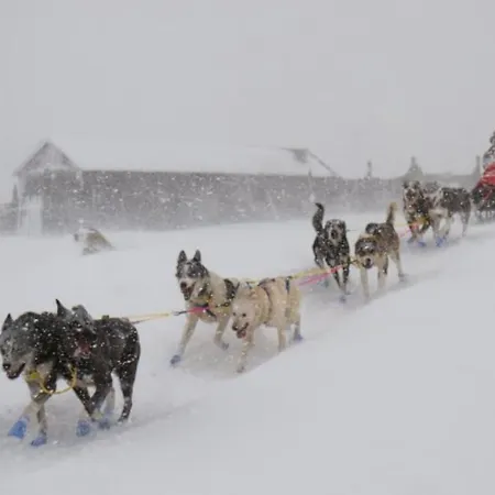Дом отдыха Unikt Gardshus - Gamlestua Vestre Gausdal
