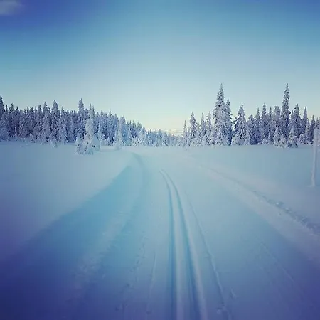 Unikt Gårdshus - Gamlestua Feriehus Vestre Gausdal